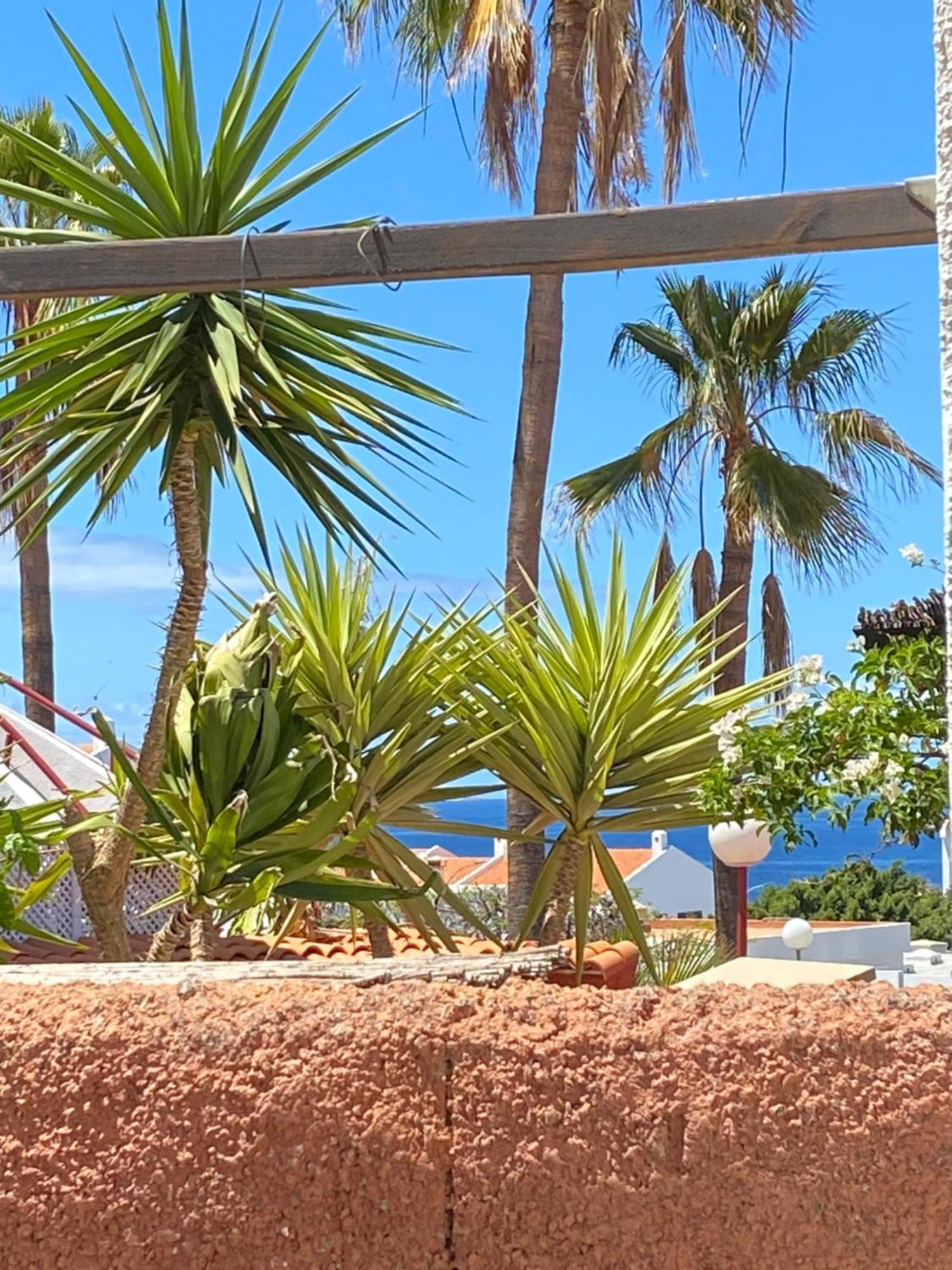 Bungalow Paraiso كالاو سالفاجي المظهر الخارجي الصورة